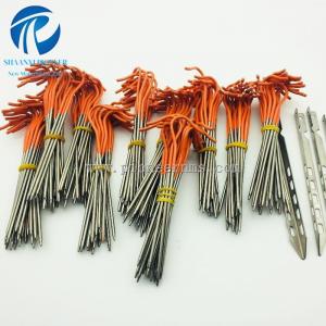 titanium tent peg